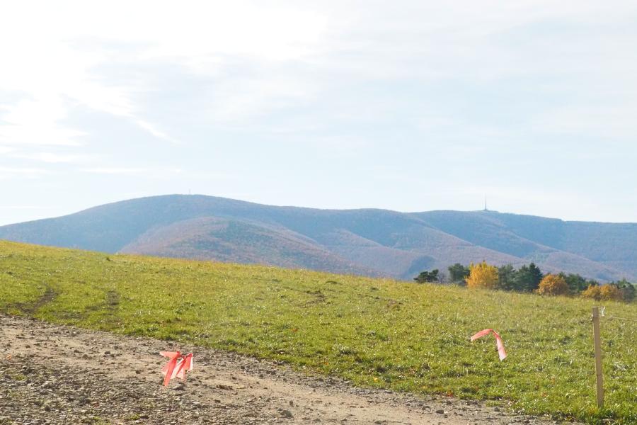 Bělokarpatské bloudění