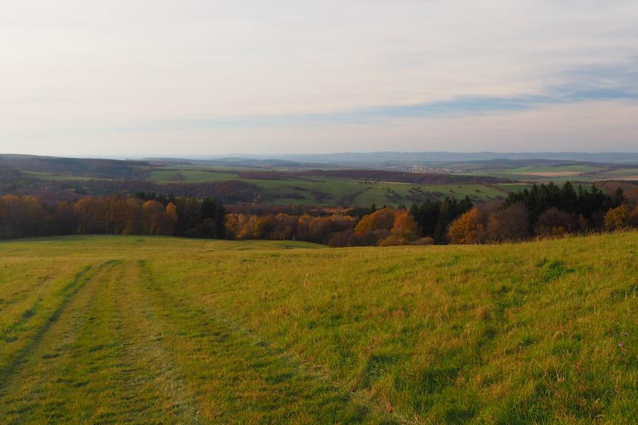 Bělokarpatské bloudění