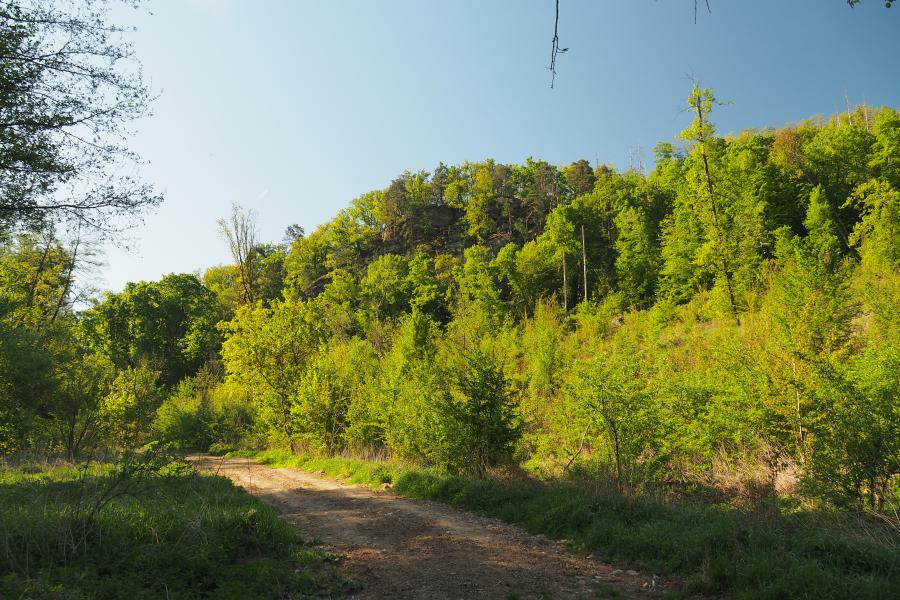 K pramenům řeky Rokytné IV.