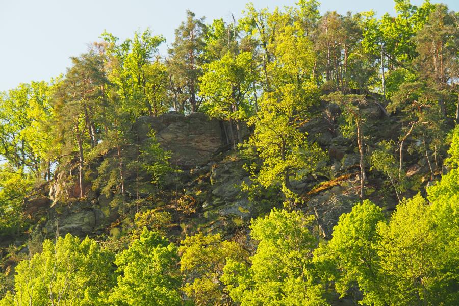 K pramenům řeky Rokytné IV.