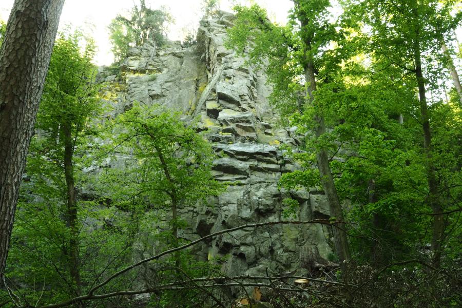 K pramenům řeky Rokytné IV.